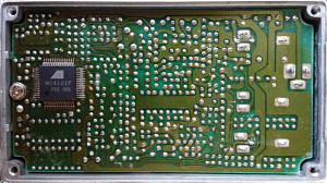 DDL10-guts1